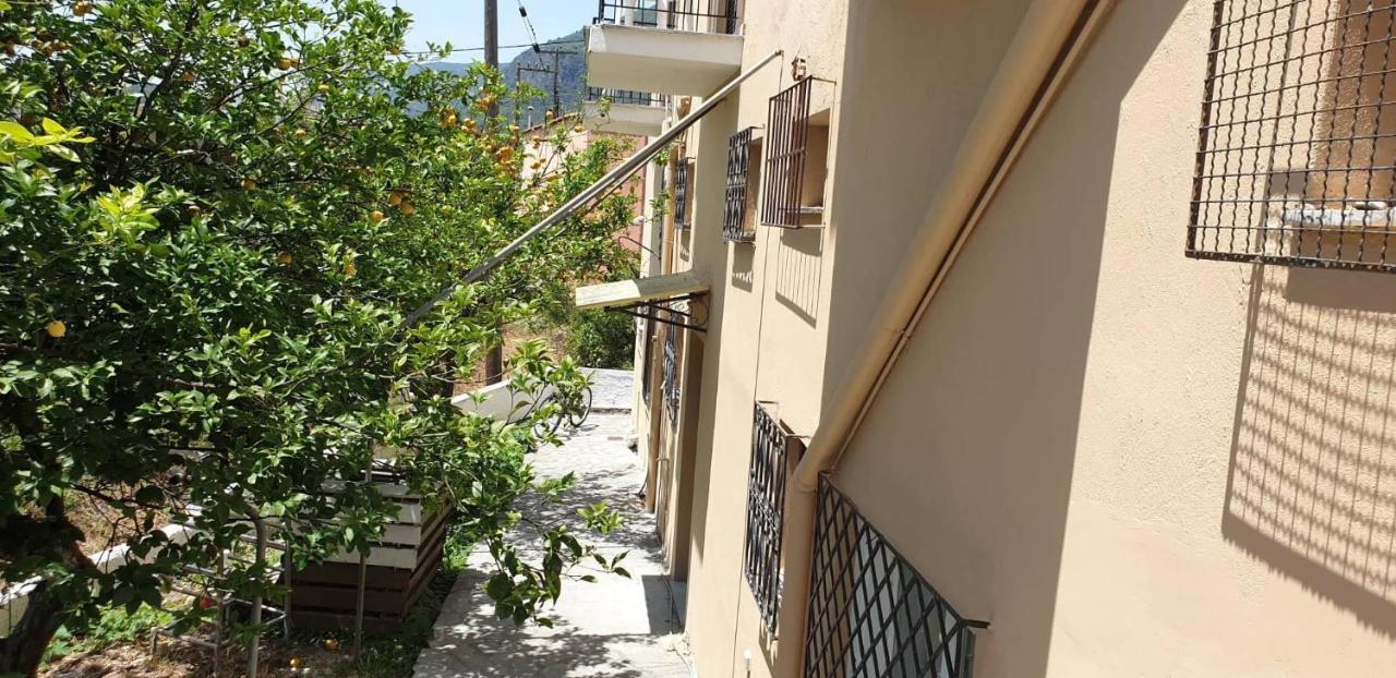 Corfu Fanis Ipsos